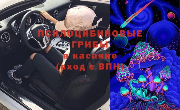 PSILOCYBIN Нея