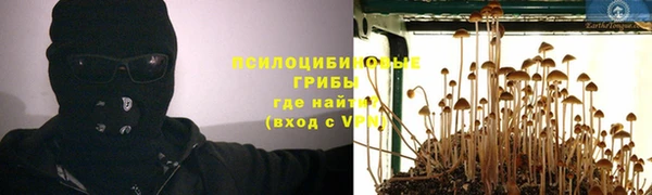 бутират Аша
