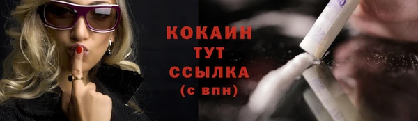 трава Наволоки