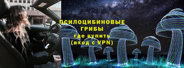 эйфоретик Абаза